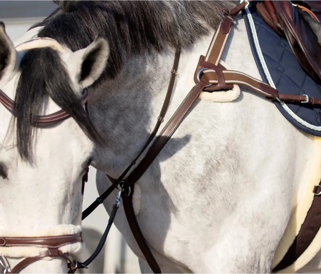 QHP Ontario Borsttuig - Pony