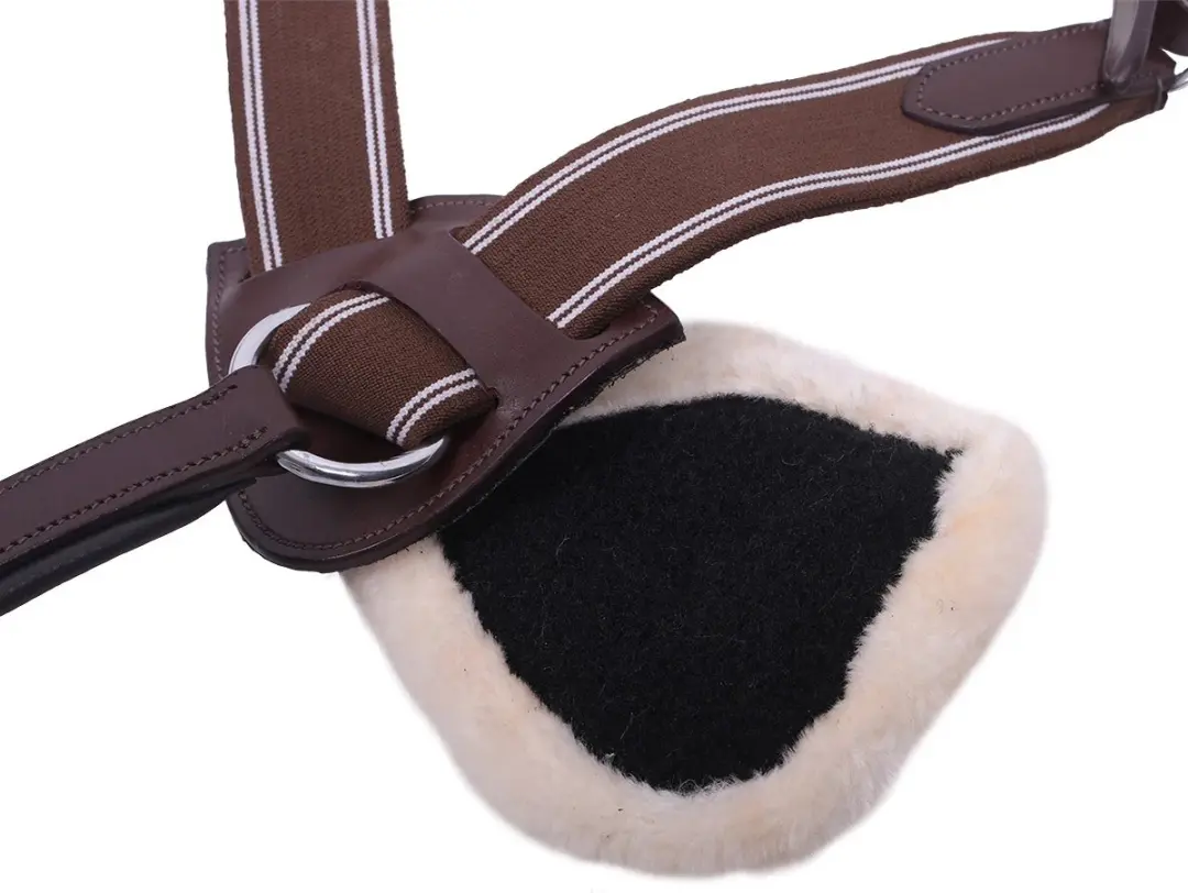 QHP Ontario Borsttuig - Pony