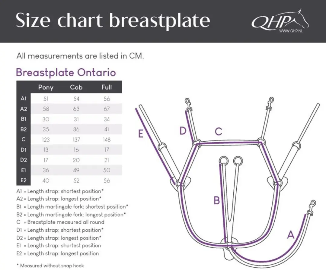QHP Ontario Borsttuig - Pony