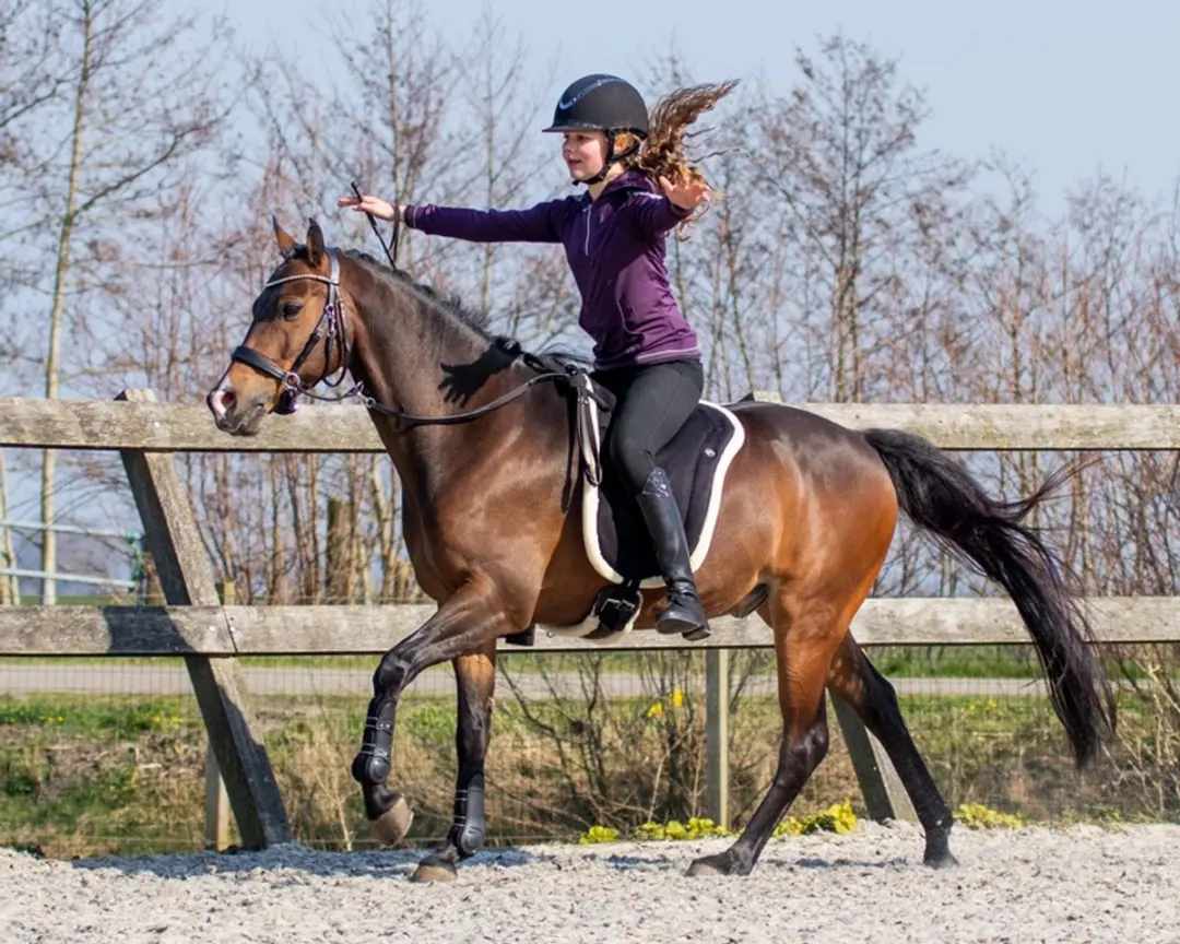 QHP Bareback Pad Shetlander 14 inch - Zwart