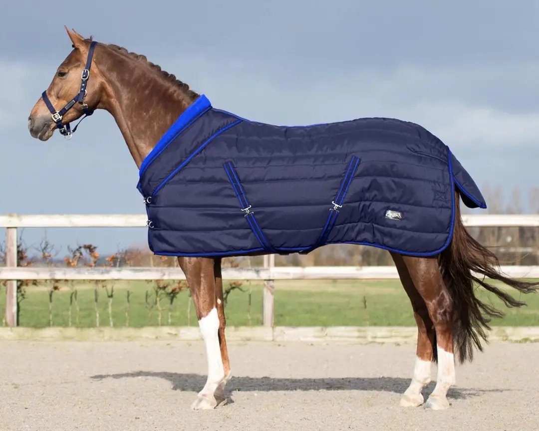STALDEKEN LUXE COLLECTION 200GR blauw-155