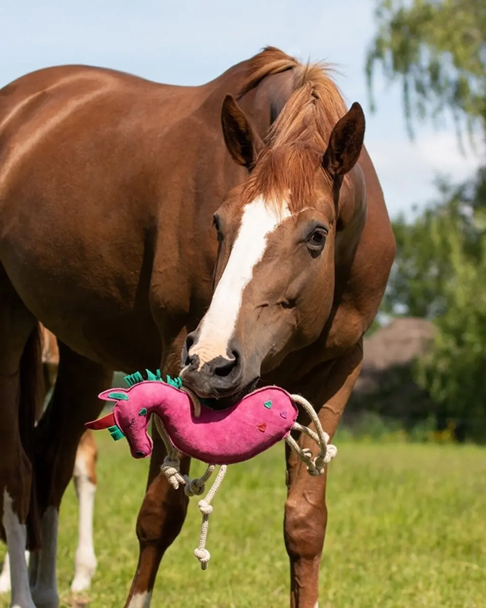 QHP Paardenspeelgoed Eenhoorn Fuchsia