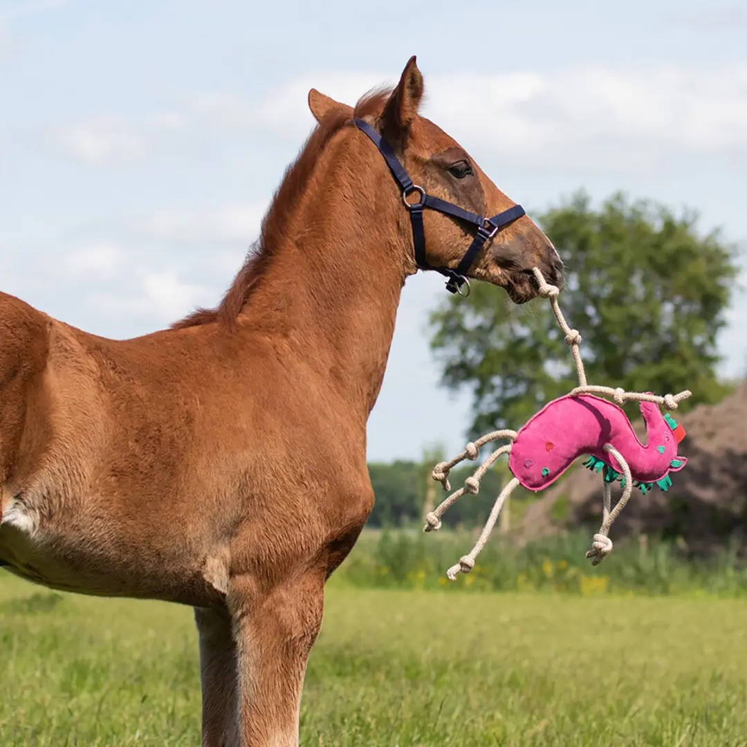 QHP Paardenspeelgoed Eenhoorn Fuchsia