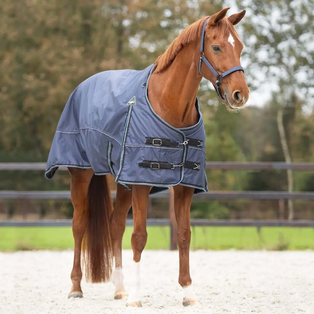 QHP Sapphire Paardendeken 150g - Blauw - 130cm - afbeelding 6 van 6
