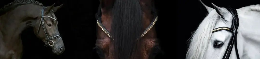 QHP Hoofdstel Era Bruin