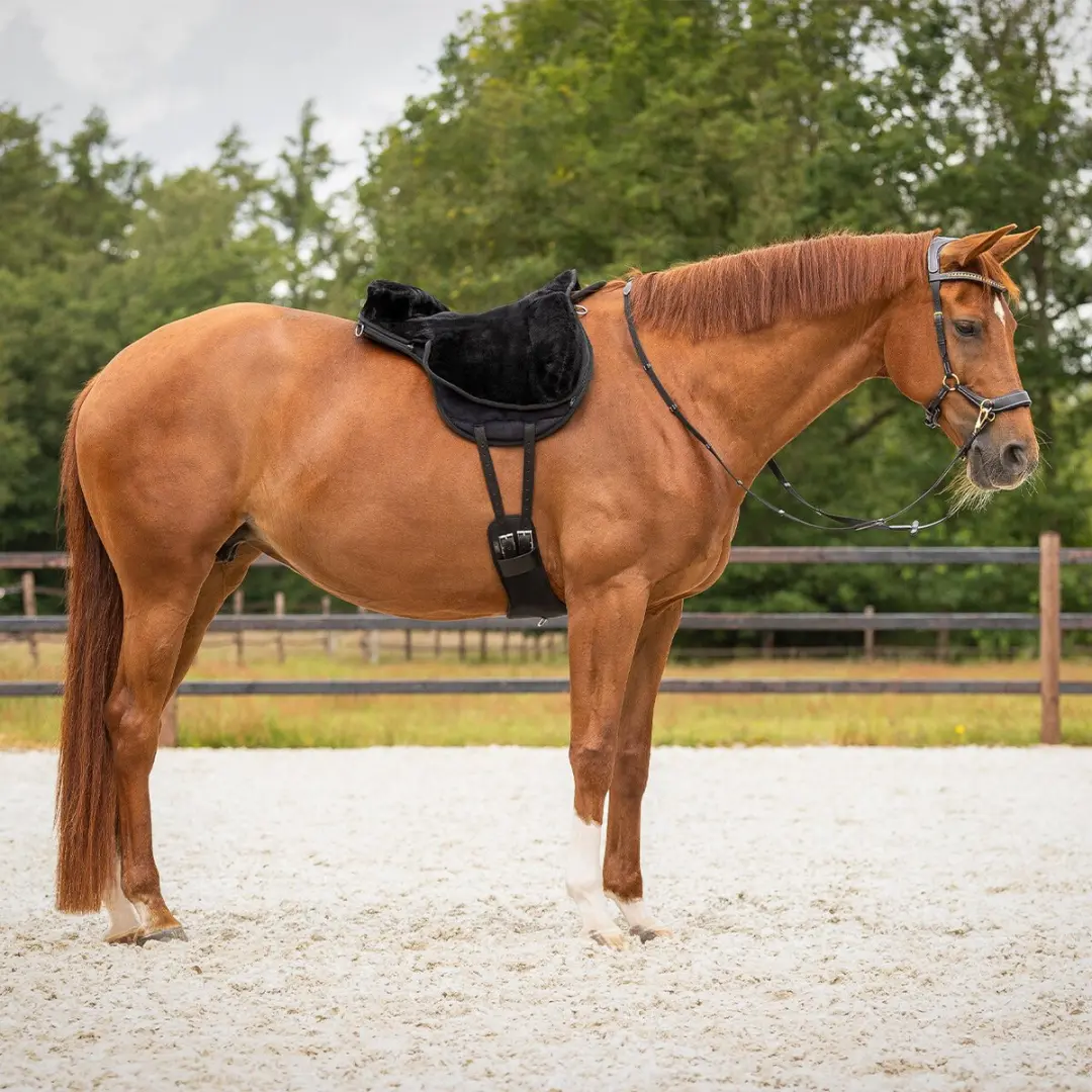 QHP Bareback Pad Super Soft - Full - Zwart