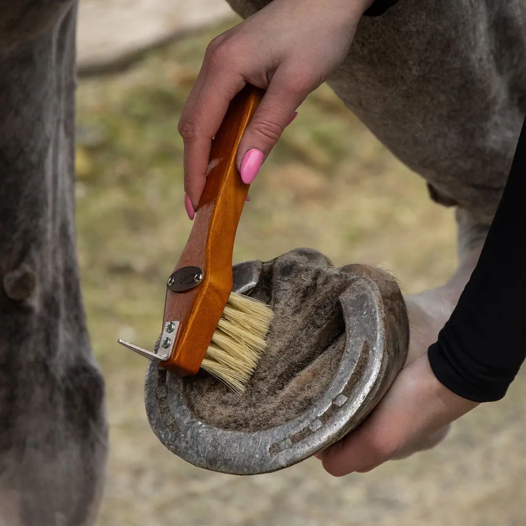 QHP Borstelset Royal Donkerbruin - 5 Stuks - afbeelding 4 van 6