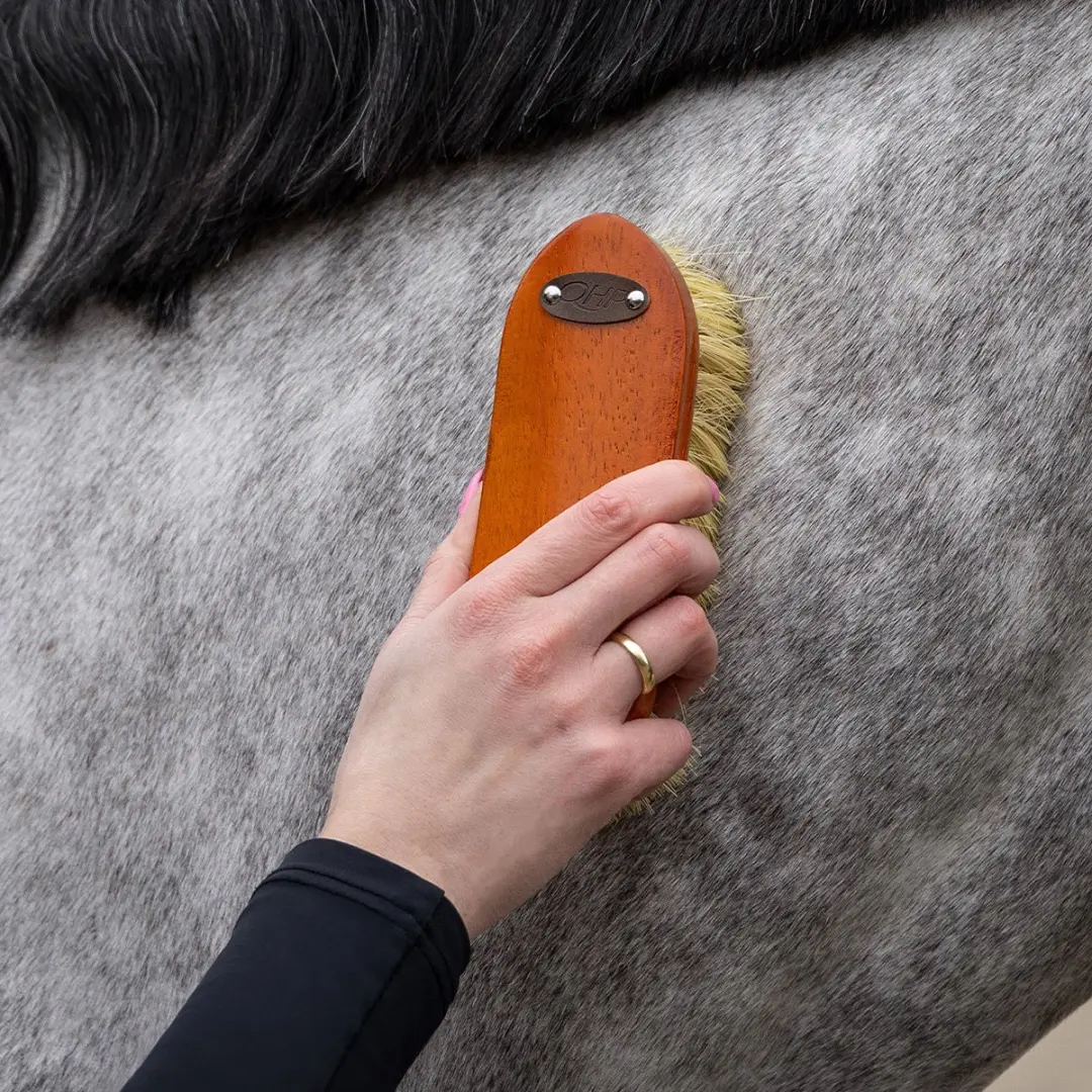 QHP Borstelset Royal Donkerbruin