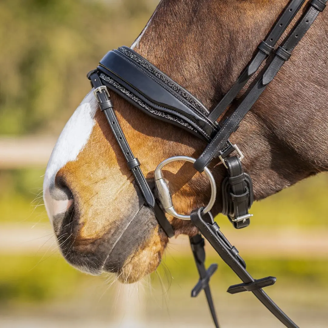 QHP Skye Verwisselbare Padding - Zwart