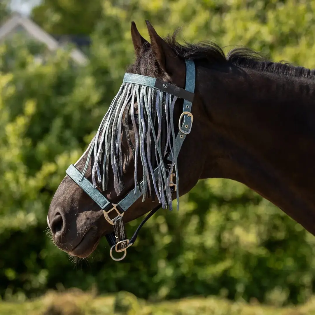 QHP Anti-vliegband voor paarden - afbeelding 2 van 4