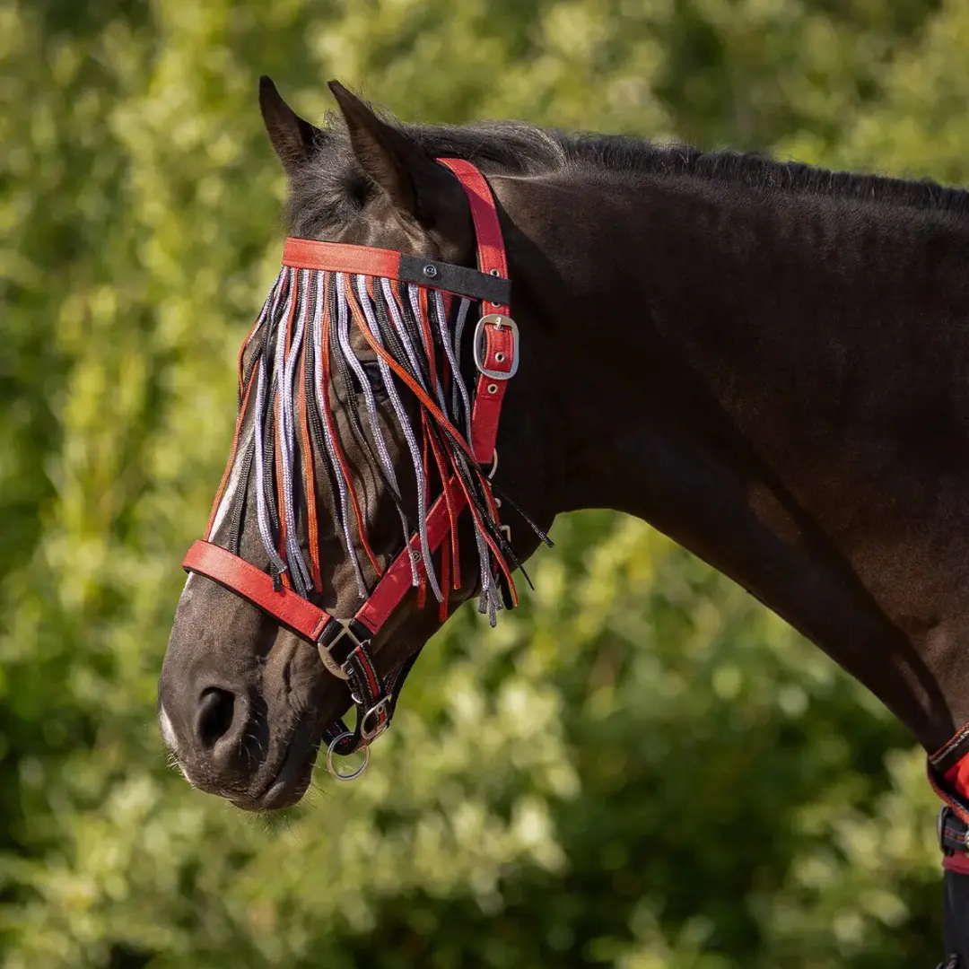 QHP Anti-vliegband voor paarden - afbeelding 4 van 4