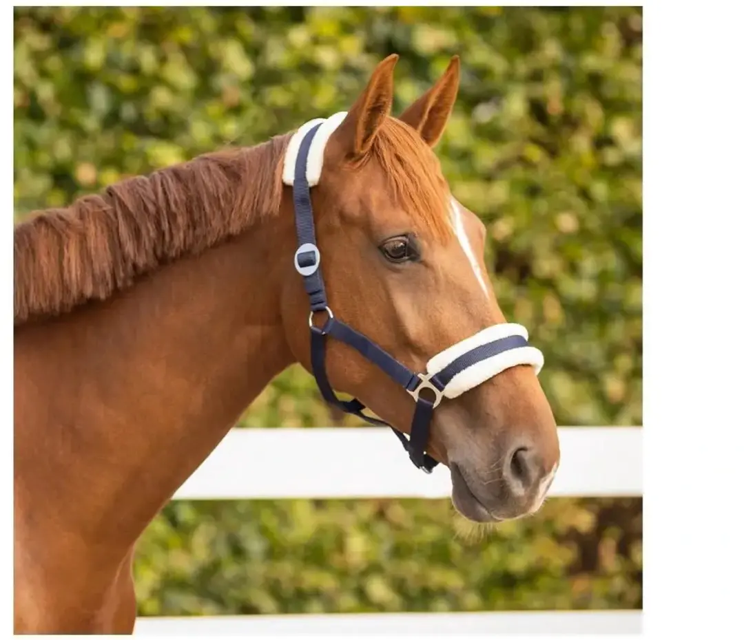 QHP Halster Cali Navy Full