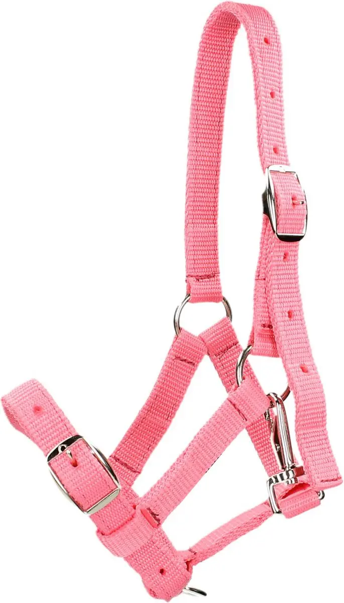 Horsegear Veulenhalster Horsegear Roze