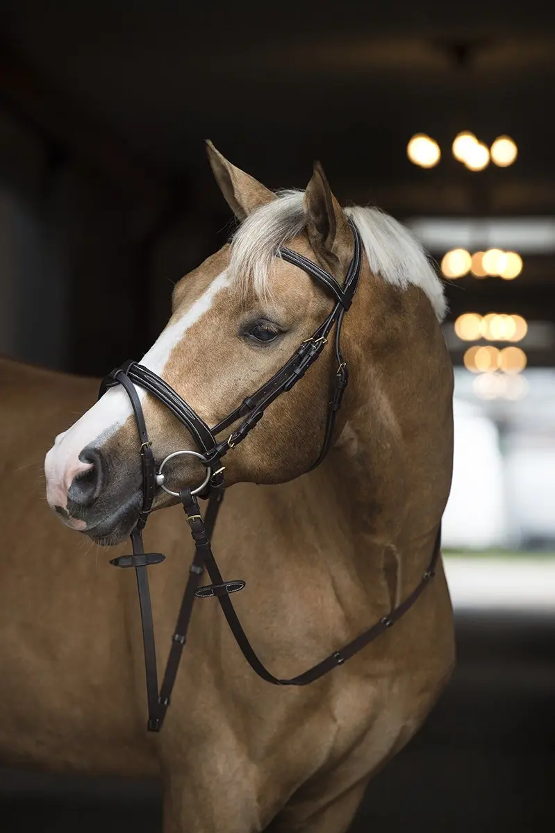 Horsegear Taron Hoofdstel - Pony - Bruin