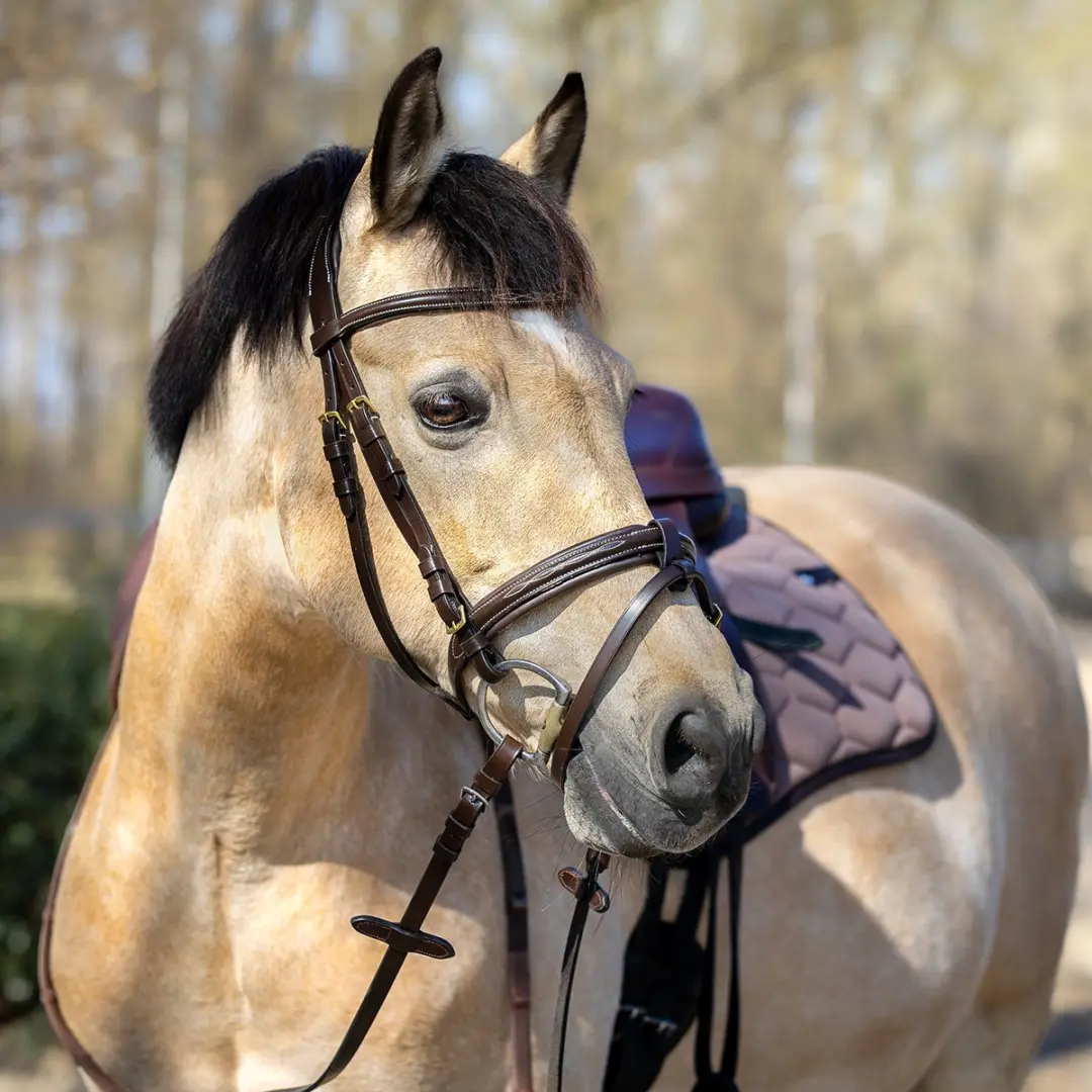 Horsegear Taron Hoofdstel - Pony - Bruin