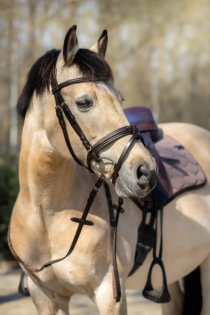 Horsegear Taron Hoofdstel