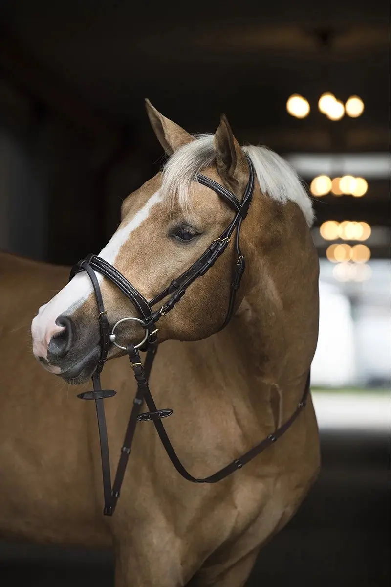 Horsegear Taron Hoofdstel - Pony - Bruin