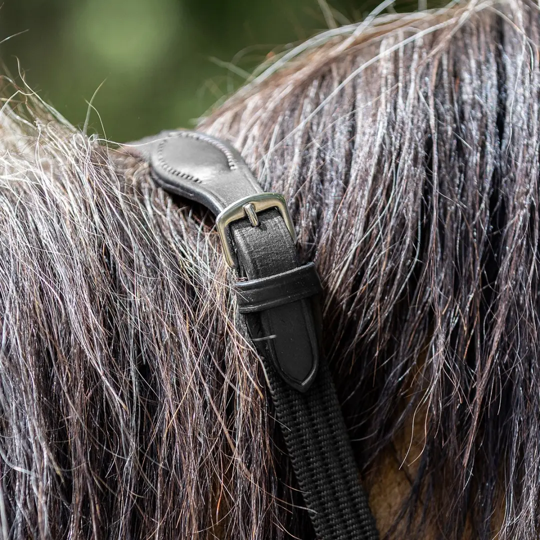 Horsegear Springteugels Cob - Zwart