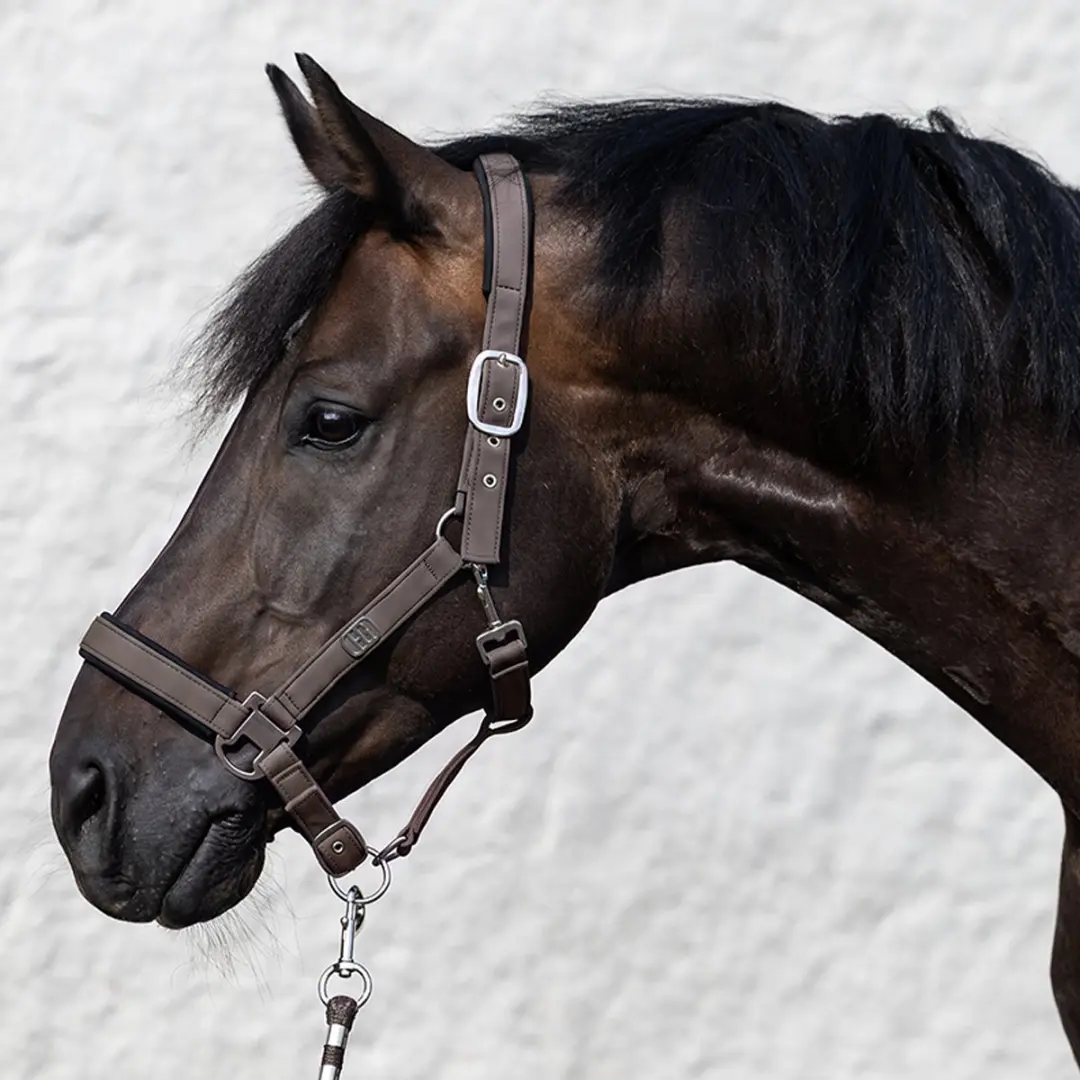 Horsegear Hgelisa Halsterset - Pony - Bruin