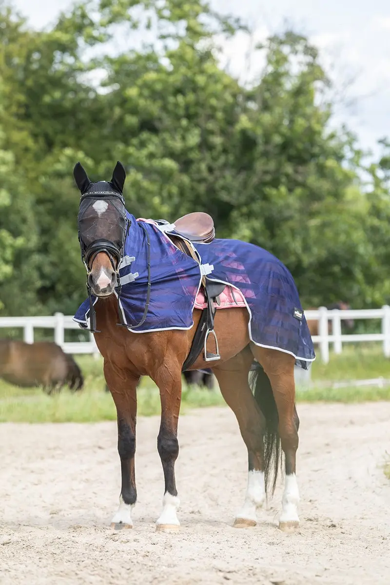Epplejeck Ejfly Rider Uitrij-vliegendeken 130cm - Donkerblauw