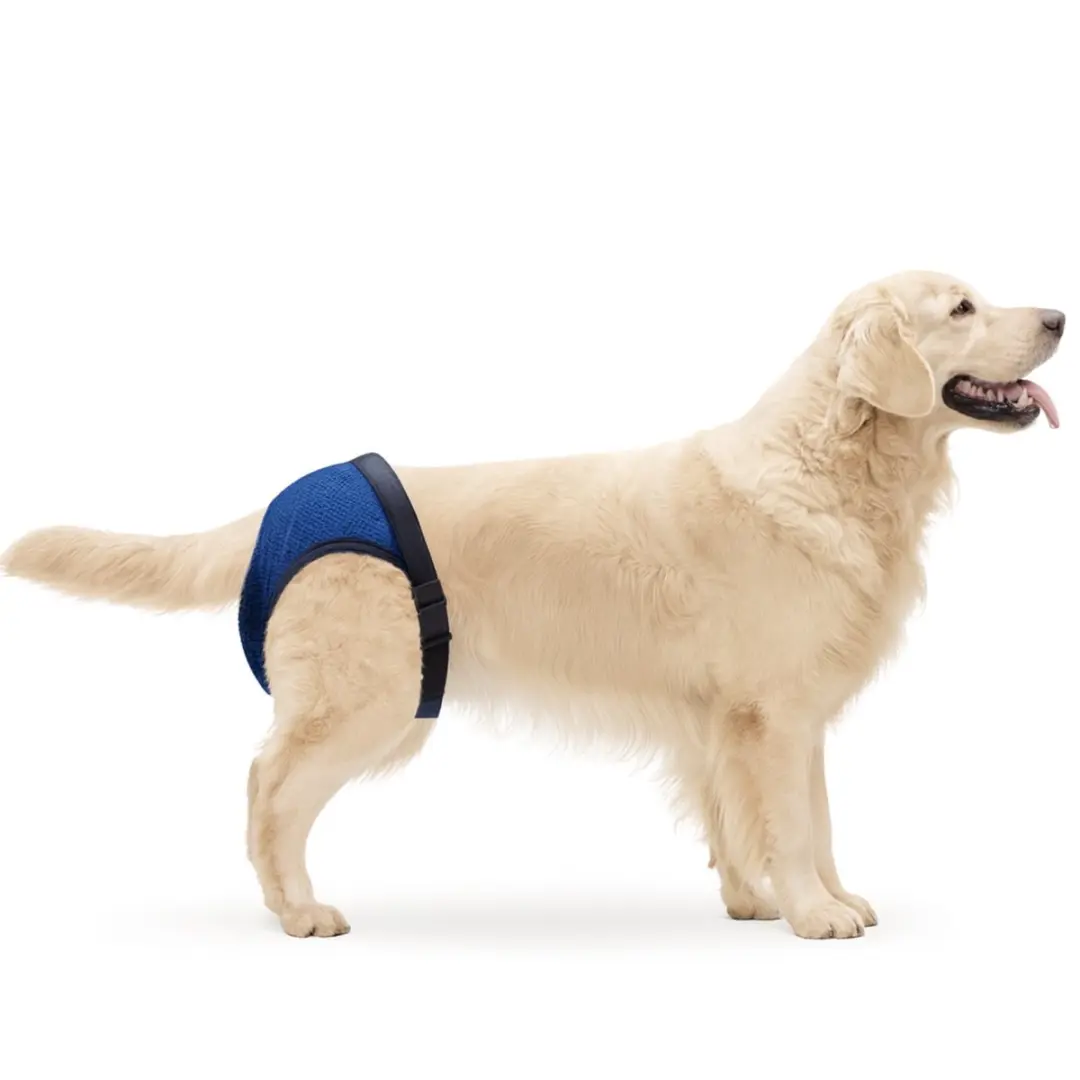 Nobleza Hondenbroekje Loopsheid/Incontinentie XL