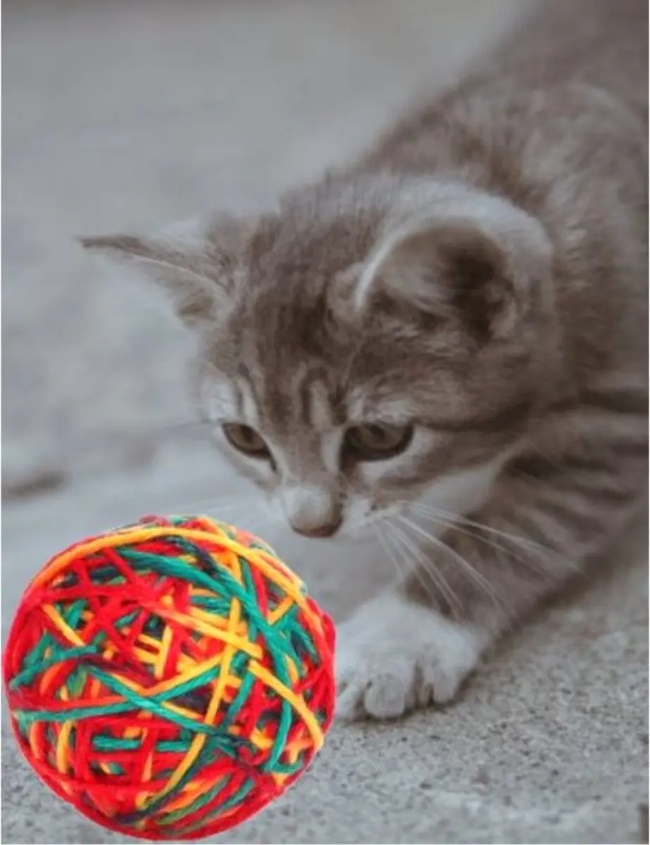 Nobleza Kattenspeelgoed Kattenbal Wol - 8 cm - Rood/Geel/ Groen