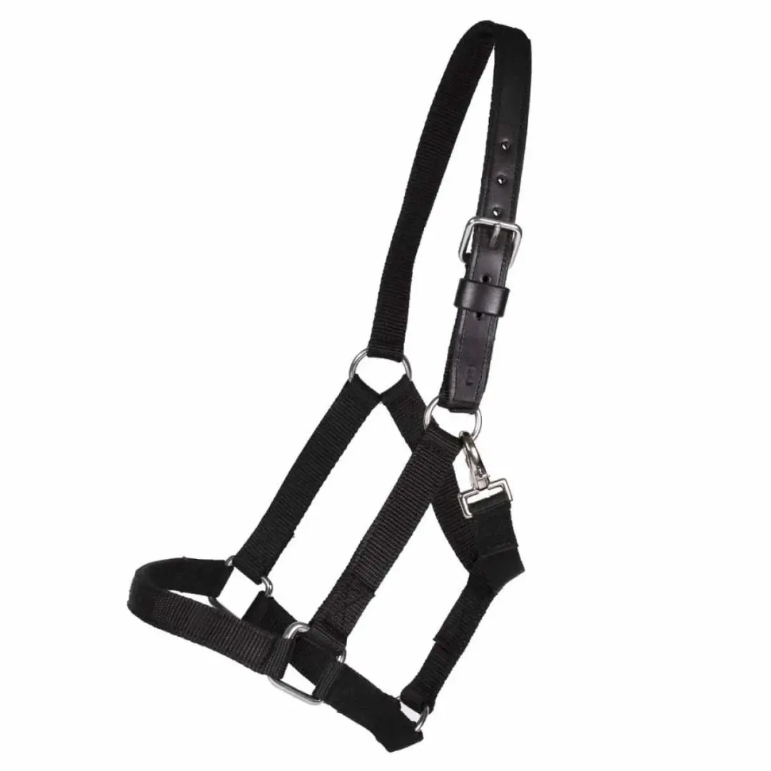 Pagony Extra Strong Halster Cob - Zwart