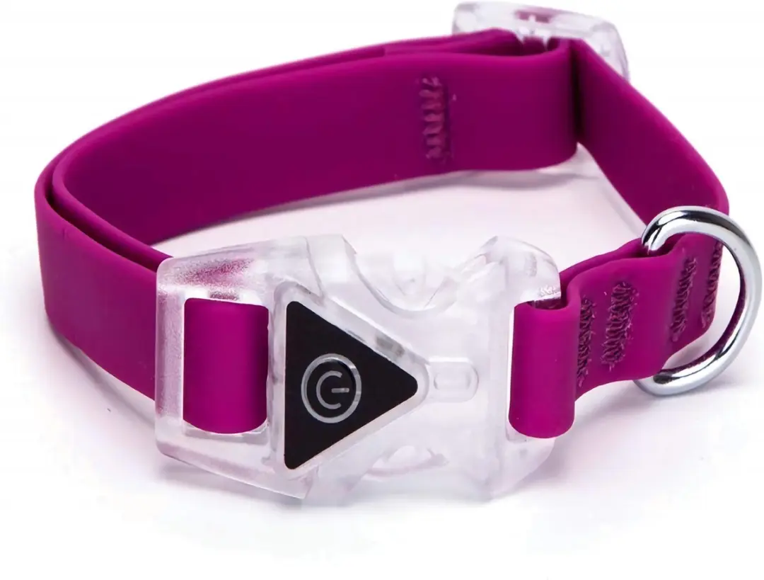 Nobleza Verlichte halsband hond