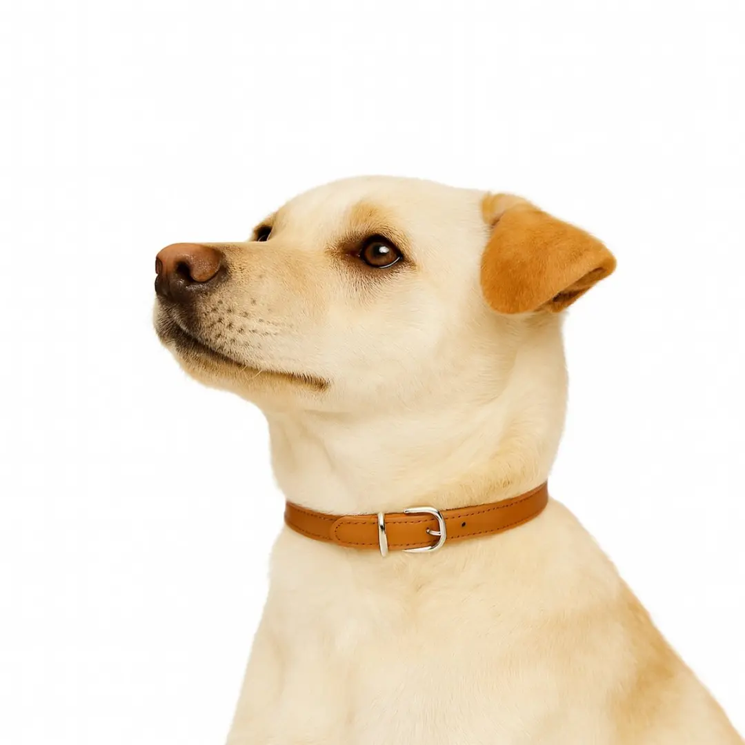 Nobleza Hondenhalsband Bruin