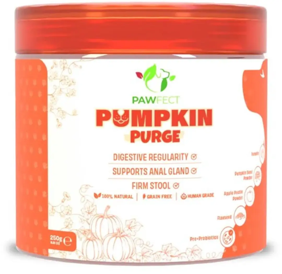 Pawfect Pumpkin Purge