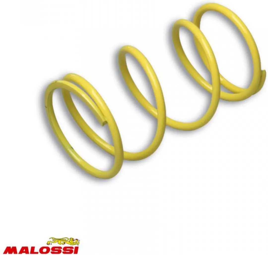 koppelingsveer malossi voor scooter piaggio 125 x10 2013 t/m 2017 2916459.y0 nie