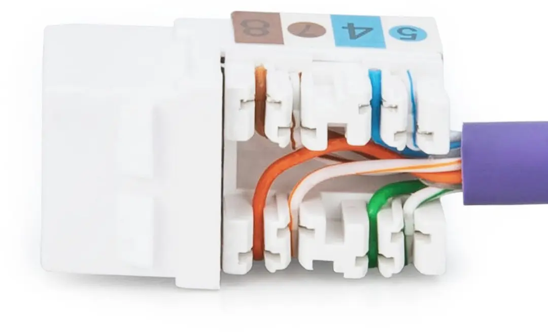 Digitus DN-93601 Keystone-Socketmodule Cat 6 - Transparent