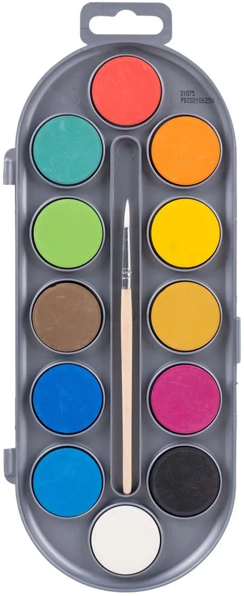 BRUYNZEEL Van Gogh Museum Aquarelverfset - 12 Kleuren 250ml Multicolor