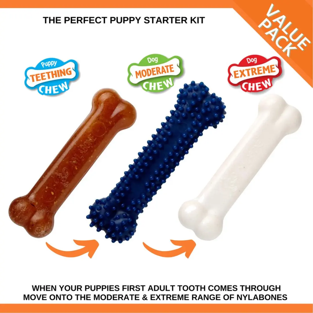 Nylabone Puppy Bot Starterkit - 3 Stuks - Multi
