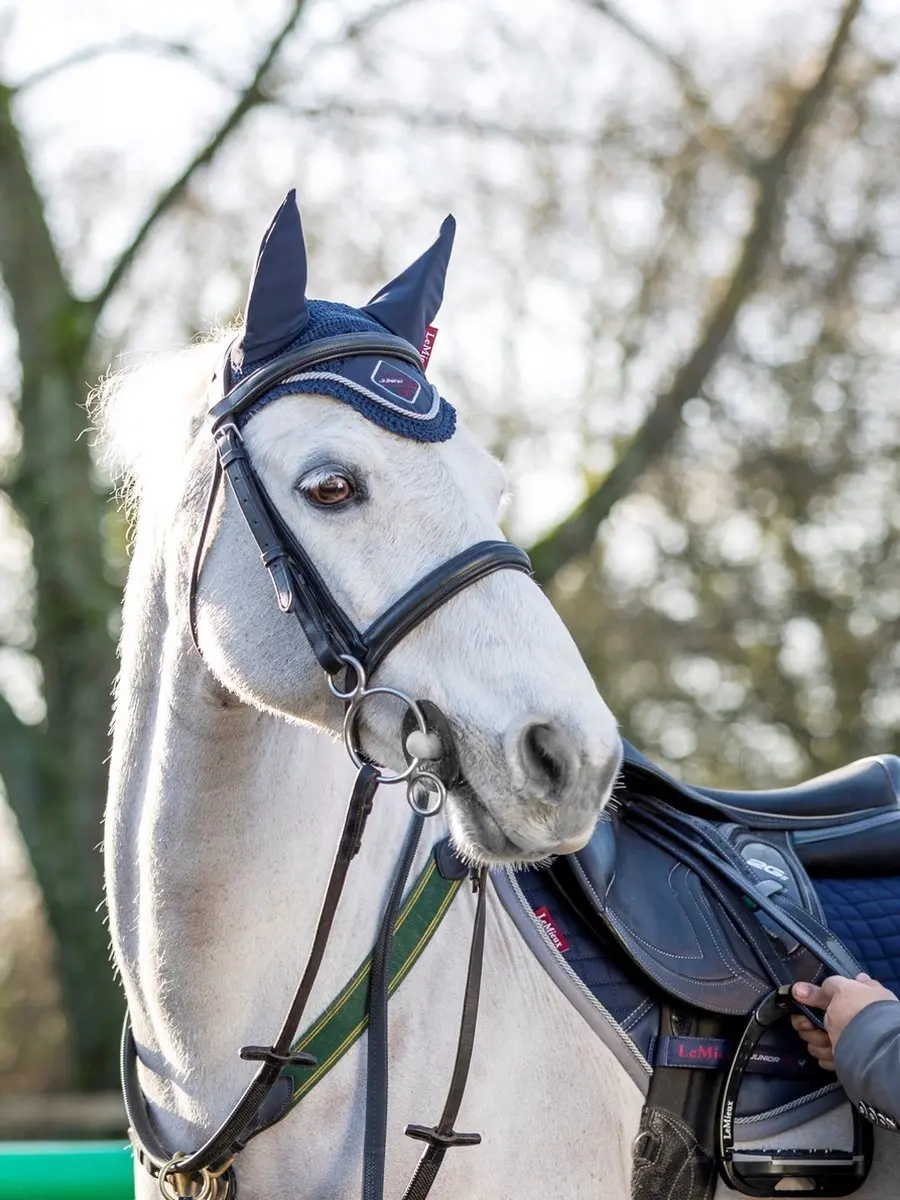 Lemieux Junior Pro Oornetje - Pony - Donkerblauw