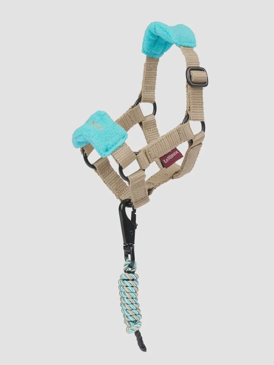 LeMieux Toy Pony Vogue Halster One size Ink Blue