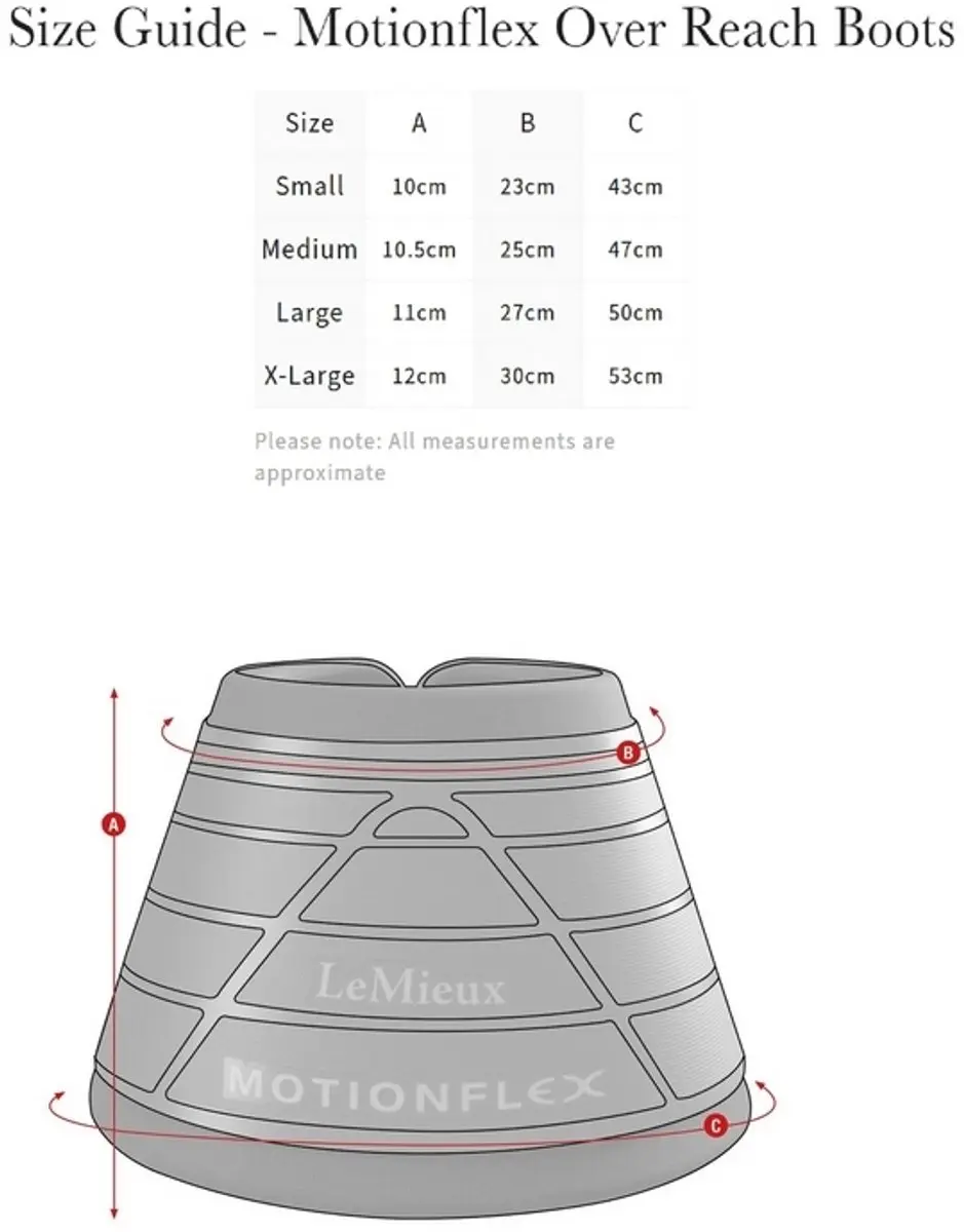 Lemieux Motionflex Springschoenen S - Wit - afbeelding 2 van 6