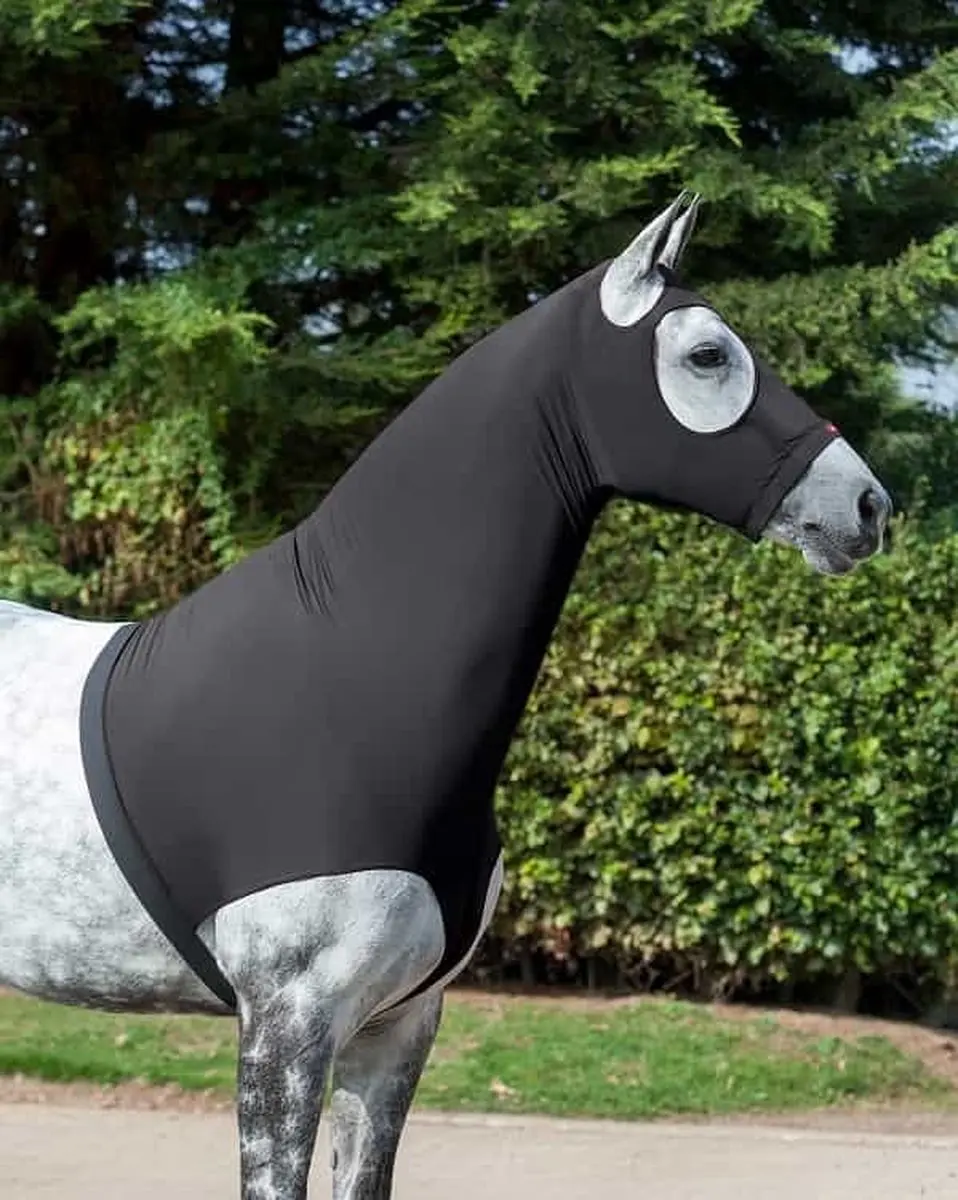 Lemieux Lycra Hood - Zwart