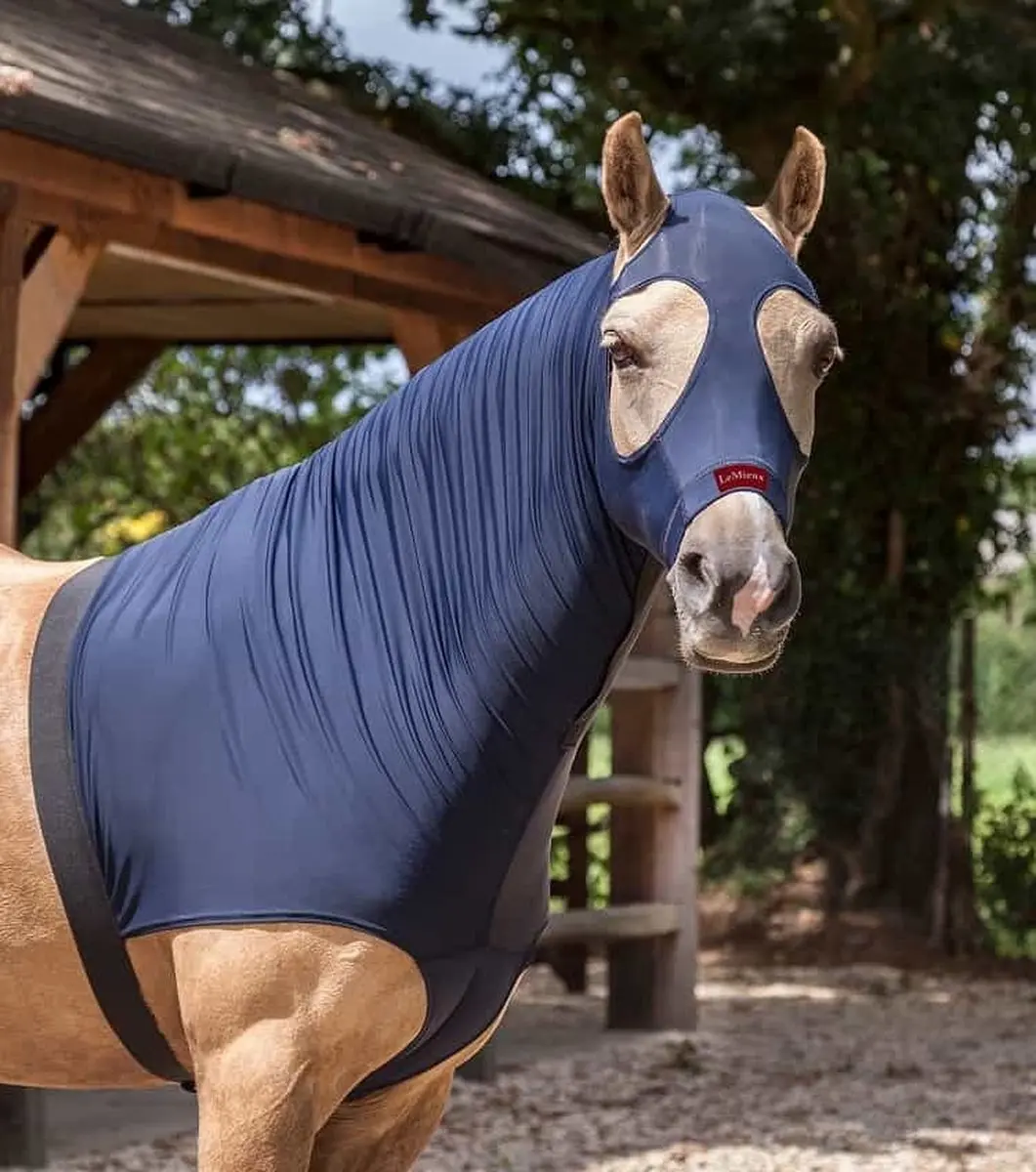Lemieux Lycra Hood - Zwart