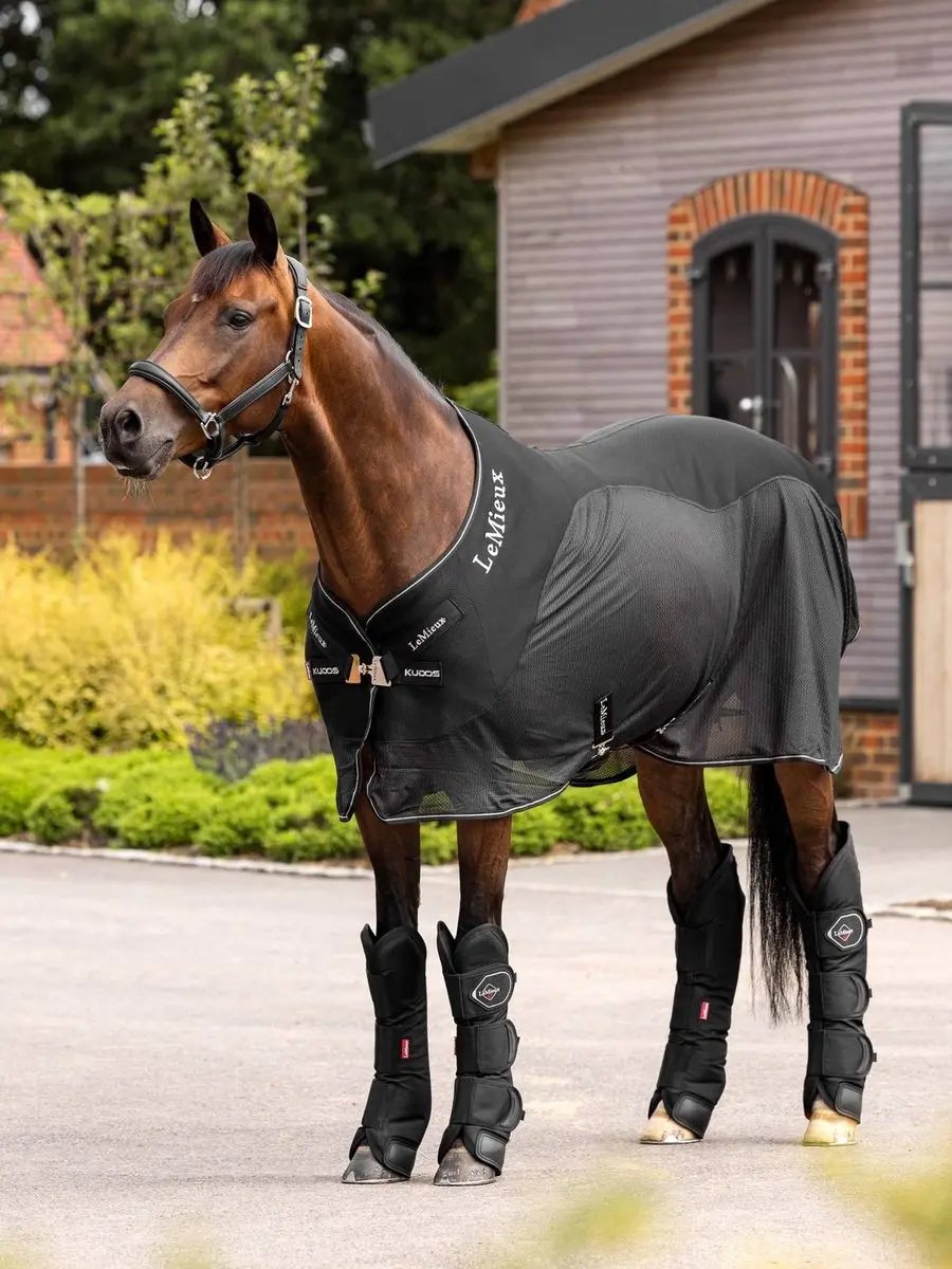 Lemieux Transportbeschermers Cob - Zwart