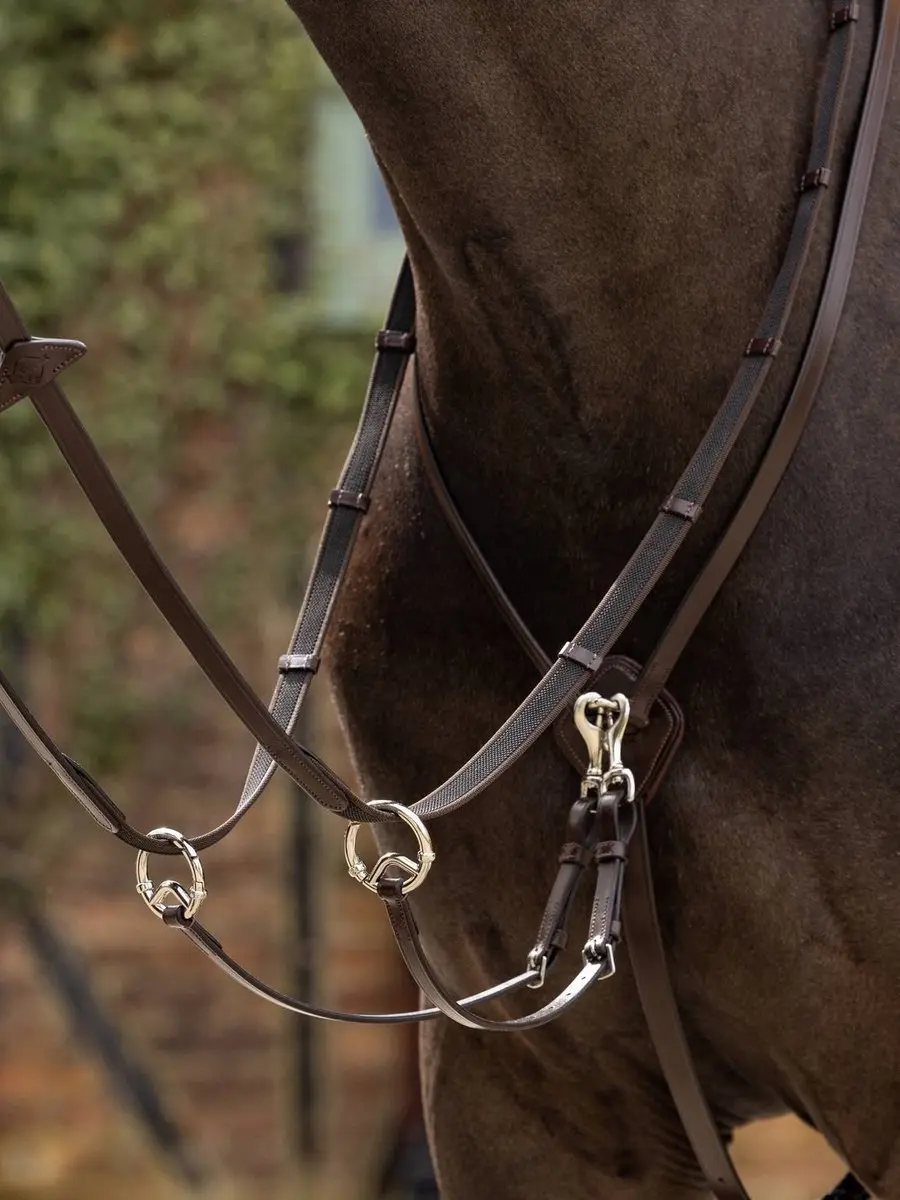 Lemieux Martingaal Kudos Running - Pony