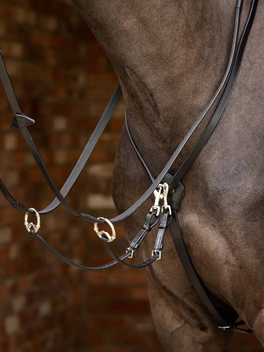 Lemieux Martingaal Kudos Running - Pony