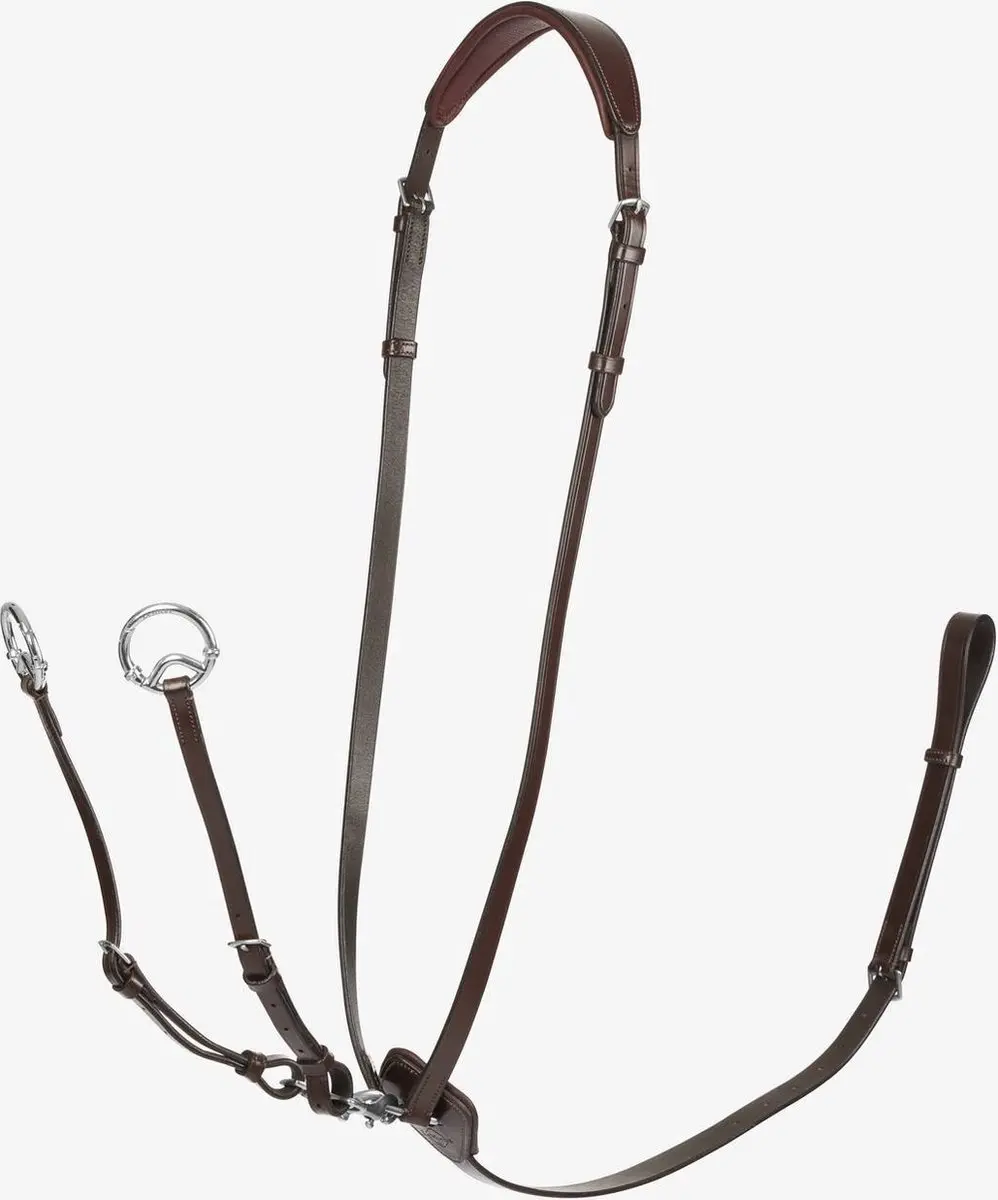 Lemieux Martingaal Kudos Running - Pony