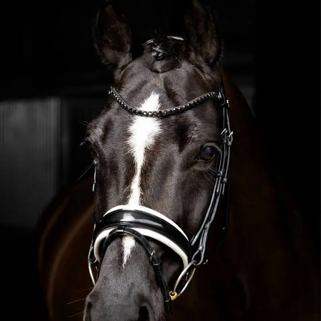 LeMieux Kudos Patent Dressage Hoofdstel - Zwart/Wit