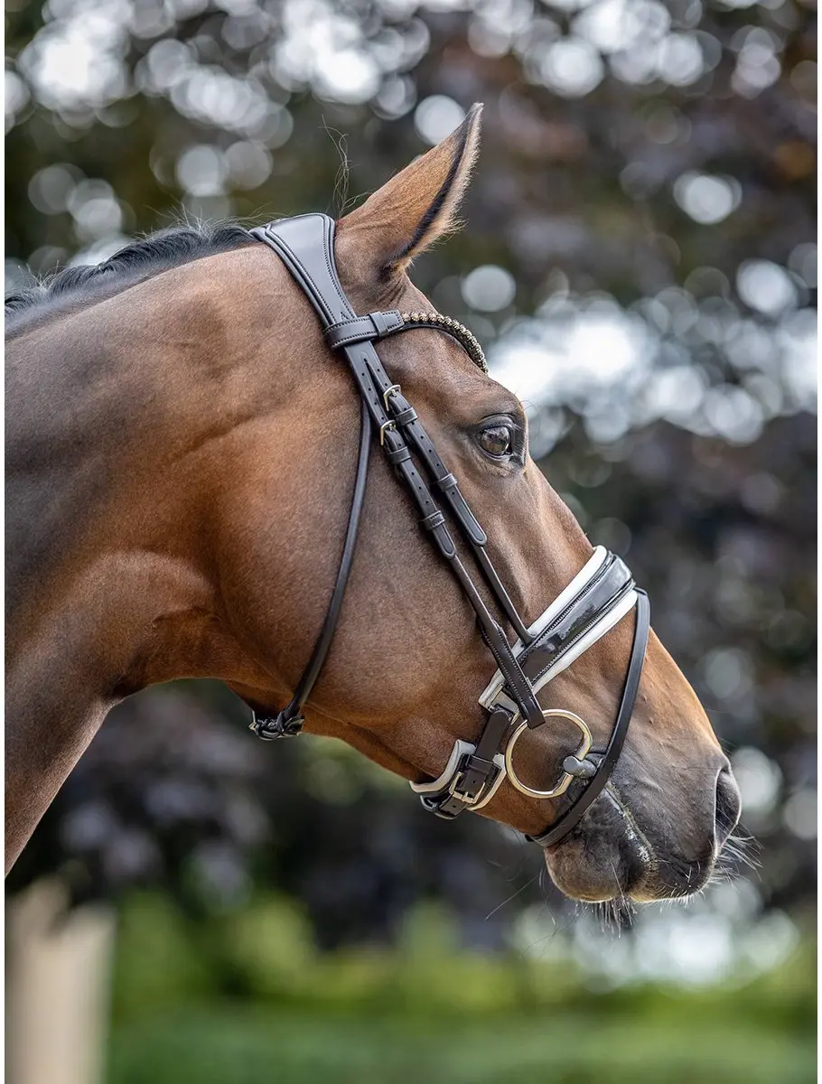LeMieux Kudos Hoofdstel - Cob - Bruin/Wit