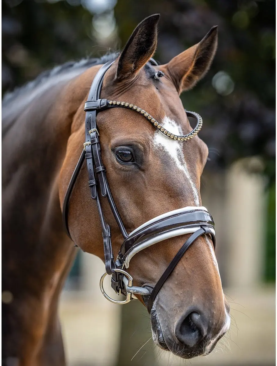 LeMieux Kudos Hoofdstel - Cob - Bruin/Wit