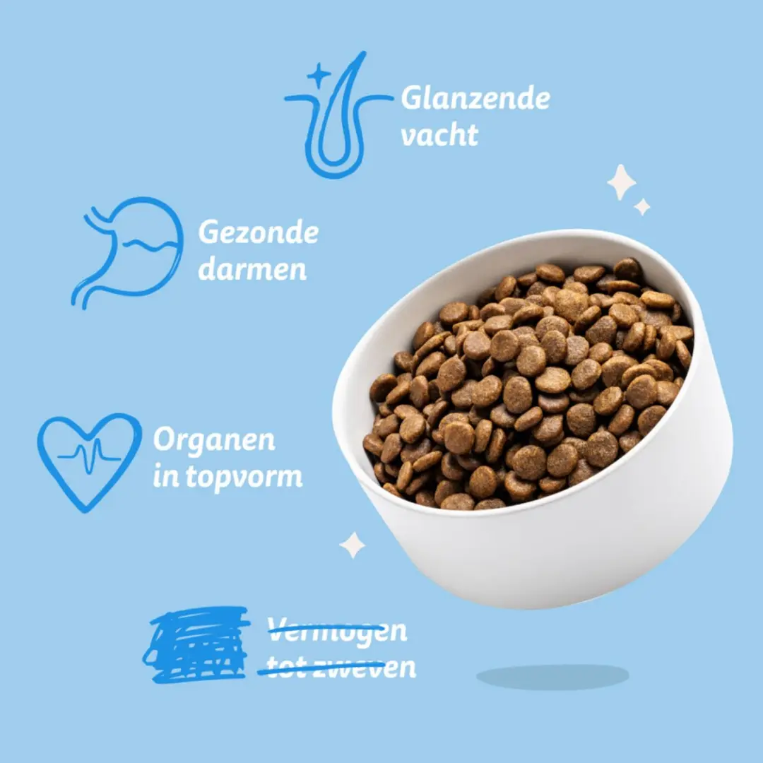 Edgard & Cooper Yummy Salmon Rode Biet Appel Hondenvoer - 4x2,5kg