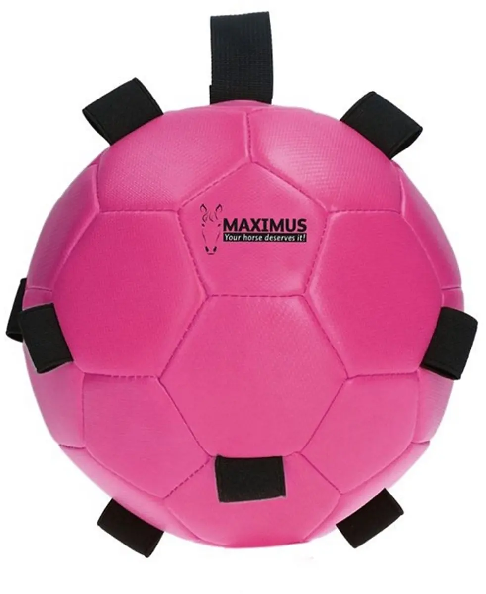 Maximus Fun Play Ball Ø19cm Paardenspeelgoed Roze