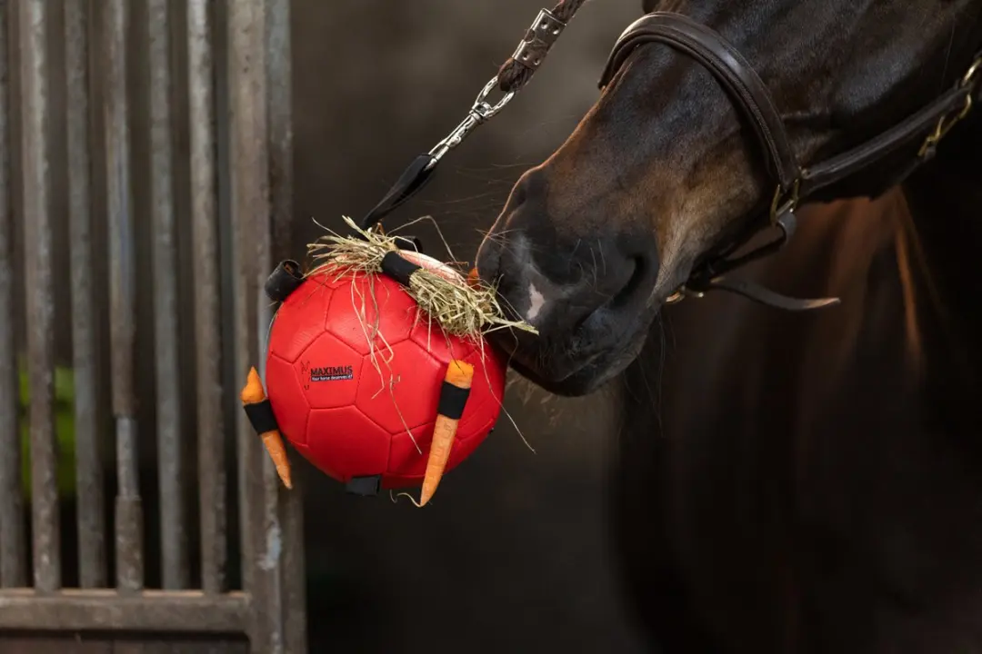 Maximus Fun Play Ball Ø19cm Paardenspeelgoed Roze