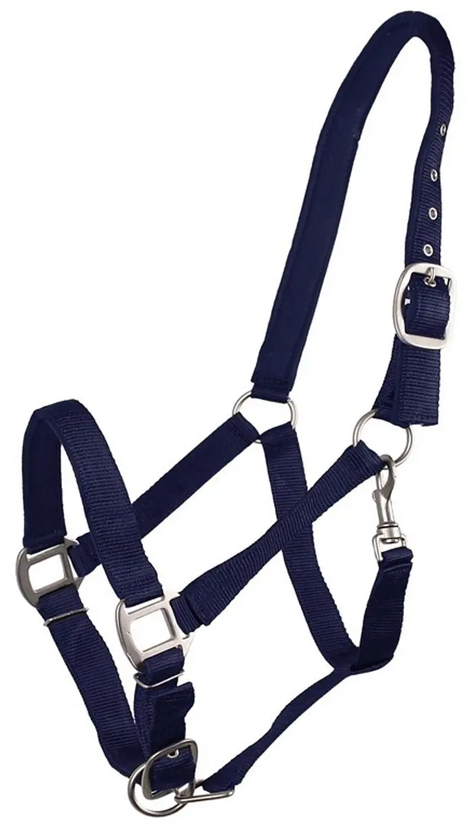 QHP Halster Gevoerd Pony